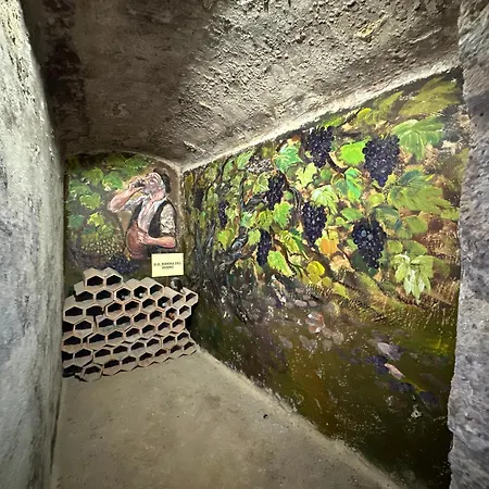 Entrefrutales Tatil Evi La Viluena