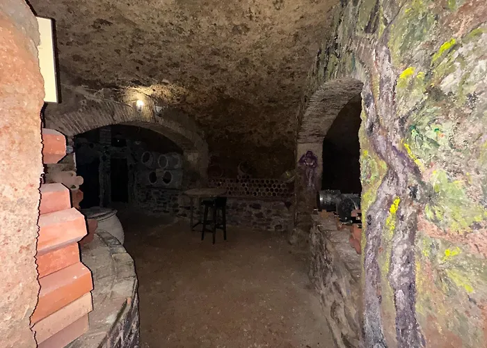 Entrefrutales La Viluena